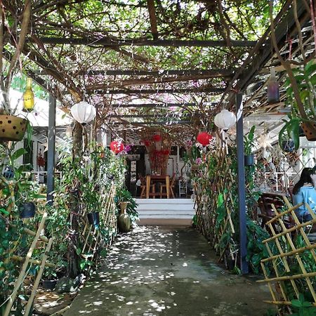 מלון קו לנטה Patty'S Secret Garden מראה חיצוני תמונה